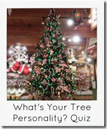 bronners quiz