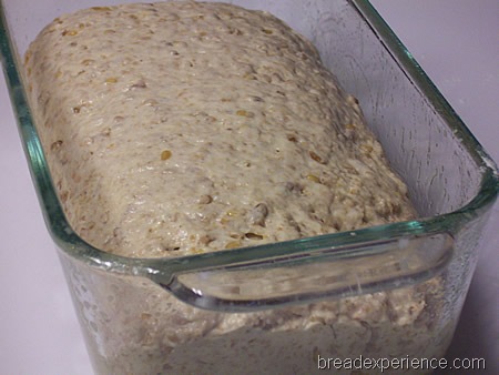 [multigrain-spelt-bread-with-soaker%2520016%255B1%255D.jpg]
