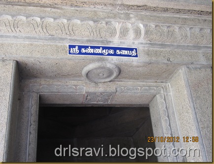 IMG_1037 IMG_1037