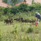 DSCF3639.JPG