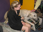 An Irish Wolfhound -- one of the biggest breeds in the world!