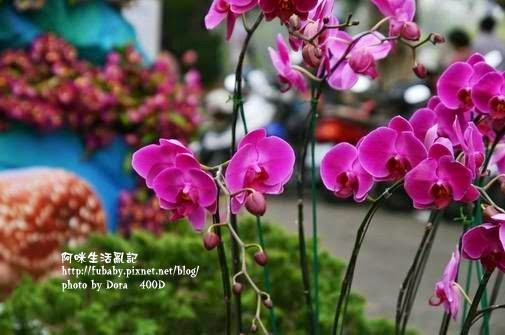 49c7bd38cb0b0 49c7bd38cb0b0