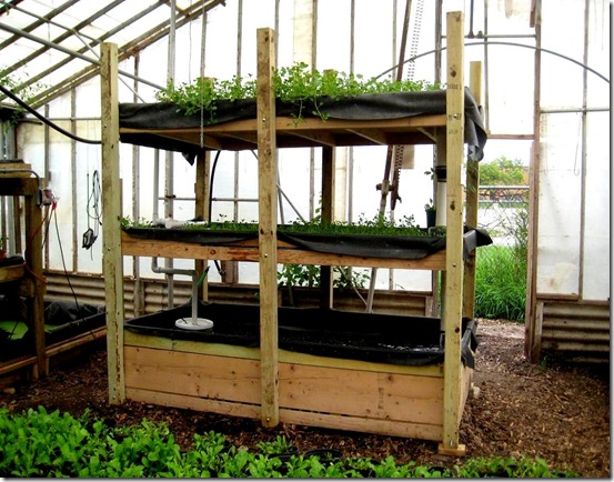 A small, portable aquaponics system.