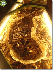 找機會來認識員山館的新朋友吧 ! 找機會來認識員山館的新朋友吧 !