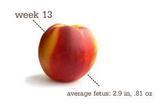 [week135.jpg]