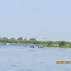 IMG_3765.JPG