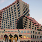 IMG_3382.JPG
