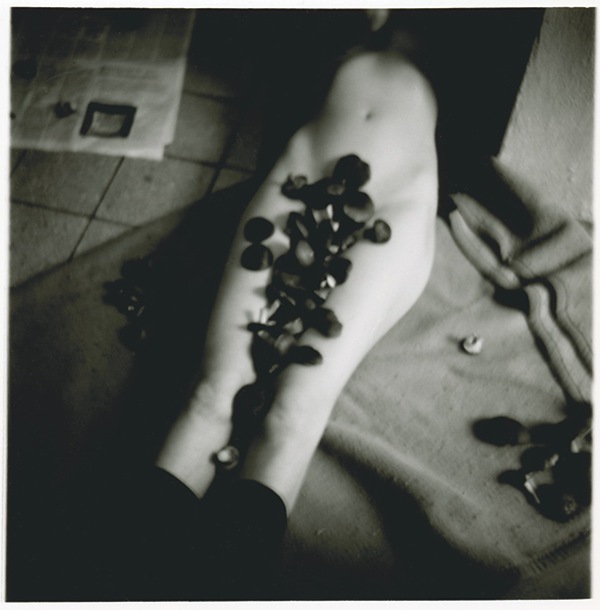 andreabaumgartl58 andreabaumgartl58