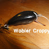 croppy1.jpg
