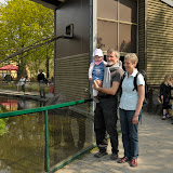Vi kigger på fisk i zoo