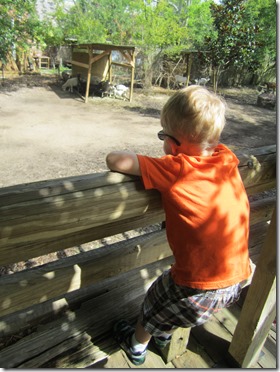IMG_7363 IMG_7363