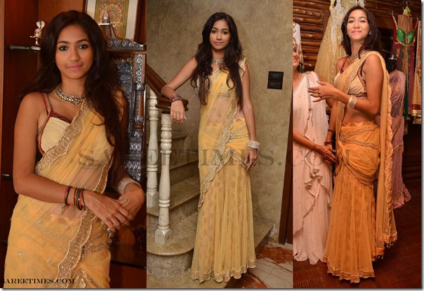 Riya_Panjabi_Designer_Sari 