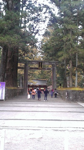 [IMAG0674%255B4%255D.jpg]