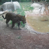 IMG_1801.jpg