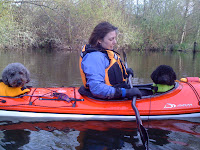 Labradoodles weekend adventures, in Washington State YA !