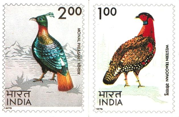 [Chinar-2011-Stamp%2520Cards%2520003%255B4%255D.jpg]