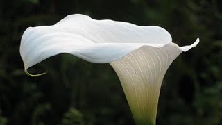 [IMG_3231%255B5%255D.jpg]
