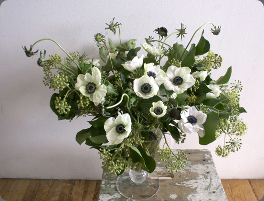 Anemone.1 ariel dearie