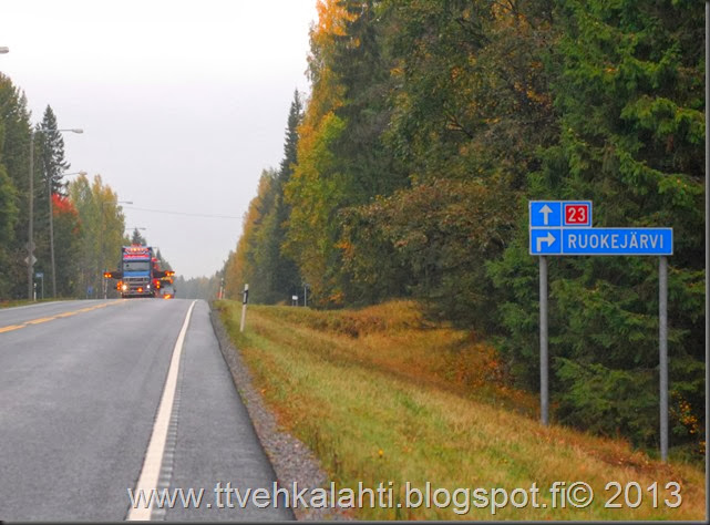 sienimetsällä 008 sienimetsällä 008