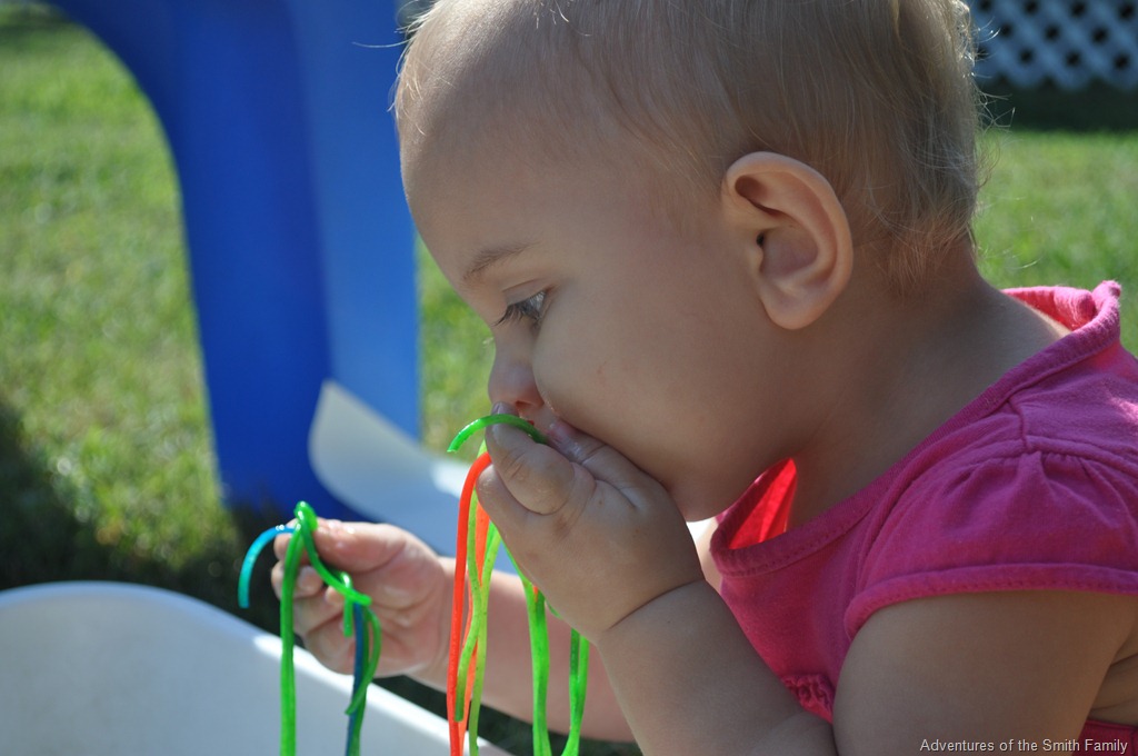 [DSC_9223%255B9%255D.jpg]