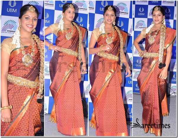 Traditional_Sare