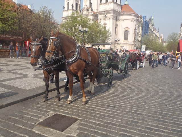 8_tr_zskomen_prag_13_14 (82).JPG