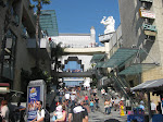 IMG_7853.JPG