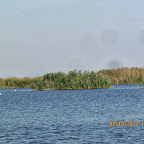 IMG_7996.JPG
