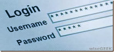 computer password safe