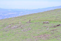 HBR_2012Dec28_005.jpg