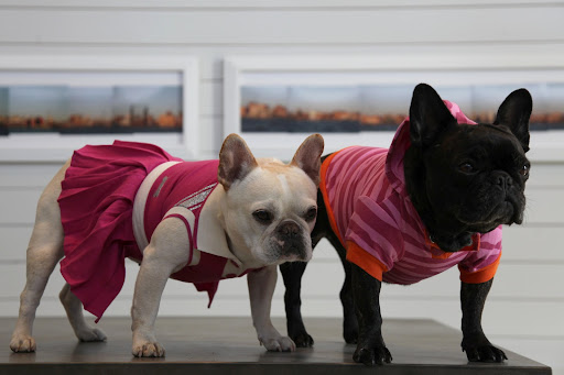 Like this, Sharkey!  Now we're both pretty in pink!