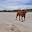 untitled album - 215.jpg