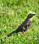DSC_1034.JPG