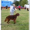 Pet Dogs 024.jpg