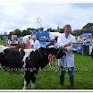 Cattle 003.jpg