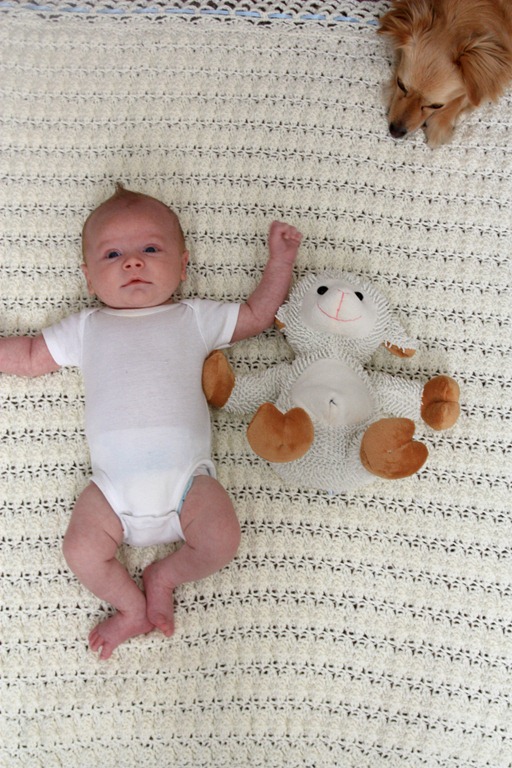 [mason%2520and%2520lambie%2520and%2520lizzy%25201%255B5%255D.jpg]