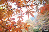 DSC00316.JPG