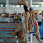 open_natacion_01.jpg