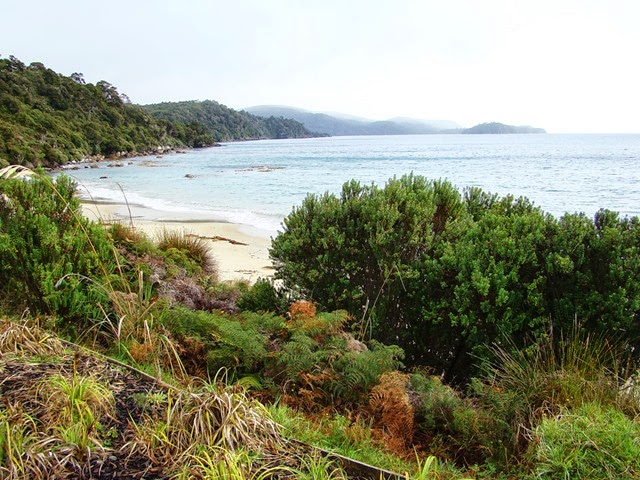 [StewartIsland103.jpg]