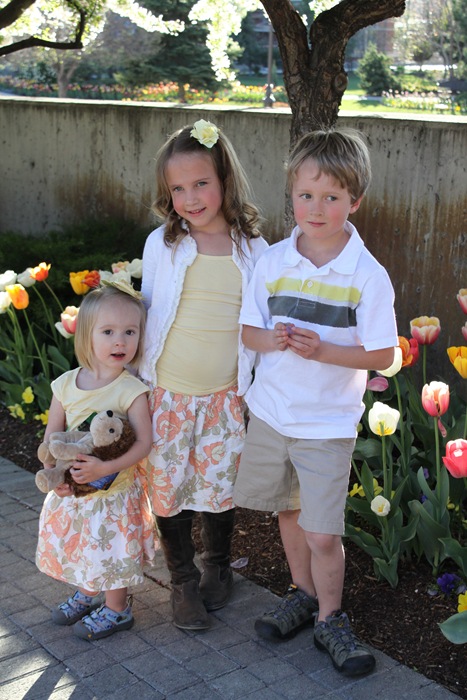 IMG_8250 IMG_8250