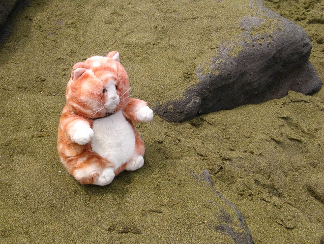 [IMG_8271CROPPED%255B2%255D.jpg]