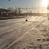 IMG_7632.JPG