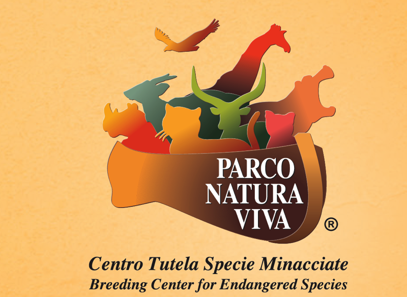 Schermata 2014 05 26 alle 18 36 06