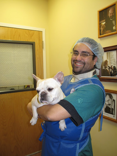Finally - Lou, the veterinary technician, came for me.  They said something about an X-ray.