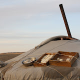 Random dairy products on the roof