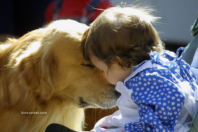 So Sweet Photos : You will smile for sure