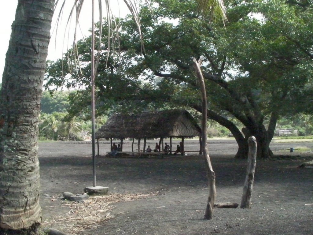 [SANY01333.jpg]