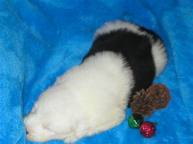 [IMG_3886%255B5%255D.jpg]