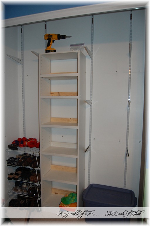 [Closet-Organization-and-Shoe-Shelves.jpg]