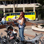 Palomas en la Plaza de Mayo